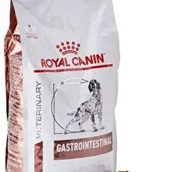Royal Canin Gastro Intestinal Canine 2 Kg.