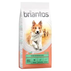 Briantos 14 kg pienso para perros ¡con gran descuento! - Adult Sensitive Cordero y arroz