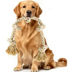 HausPets Cuerda anudada XXL de 89 cm - Indestructible, para perros grandes - Una pieza