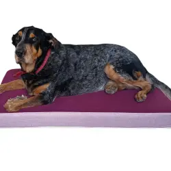 MAXTIN Cama Lulu Rosa para perros - 110 x 75 x 10 cm