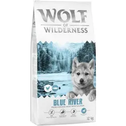 Wolf of Wilderness Junior «Blue River» Salmón - sin cereales - 12 kg