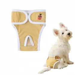 FurryFusion pantalones de higiene para perros - METRO