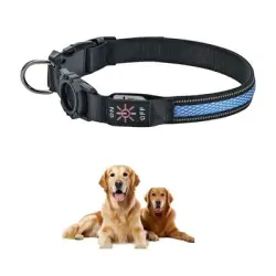 FurryFusion Collar para perros con luz - Azul M