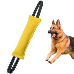 HausPets Salchicha mordedora de 30 cm 2 asas - Manguera bomberos,, flotante - 30 cm