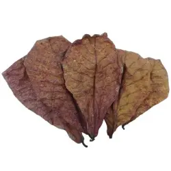 IntiMeg 20 hojas de almendro, Reduce la acidez - 20 hojas de almendro