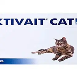 Aktivait Gatos