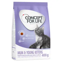 Concept for Life Mum & Young Kittens pienso para gatos - 400 g