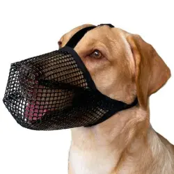 FurryFusion bozal para perros - SG
