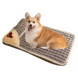 ZooVenture Cesta para perros. Trae una almohada - Gris (Cojín para sofá) XL (75 x 45 cm)
