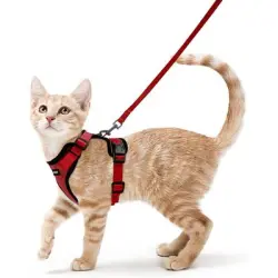 HausPets Arnés ajustable para gato/conejo, rojo, XS - 1 artículo