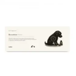 Rescarbon Prime Primeros Auxilios Intoxicaciones y Envenenamiento para Perros y Gatos, 2 x 60 ml