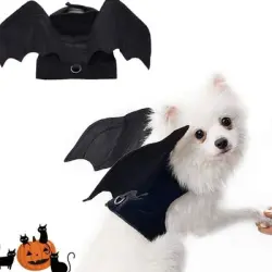 ZooVenture Arnés para perro con forma de murciélago de Halloween - 1 artículo