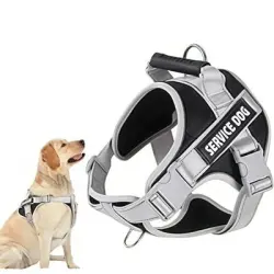 ZooVenture Correa reflectante para gatos/perros - Ajustable y transpirable - Negro-S