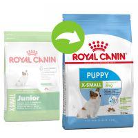 Royal Canin X-Small Junior 3 Kg.