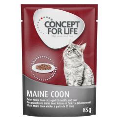 Concept for Life comida húmeda para gatos 24 x 85 g ¡con descuento! - Maine Coon Adult