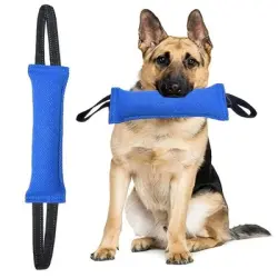 FurryFusion  de nailon para perros para tirar de la cuerda - Azul