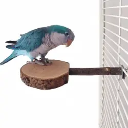 FurryFusion Soporte de madera para percha de pájaro - Artículo 1