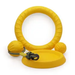 IntiMeg Juego de 4 juguetes para perros - Una pieza