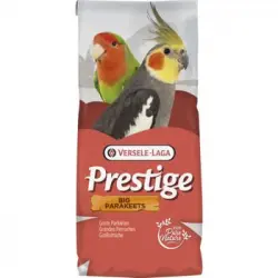 Prestige Big Parakeets - Forpus Parrotlets 20 Kg