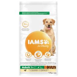 Iams Canine Adult Razas Grandes 12 Kg.