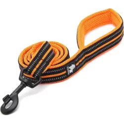 HausPets Correa reflectante naranja para perros de 200 cm - 1 artículo