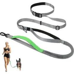 HausPets Correa manos libres, extensible de 2,5 m, gris/verde - Artículo 1