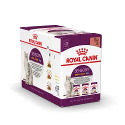 Royal Canin Sensory en salsa - Pack mixto 12 x 85 g
