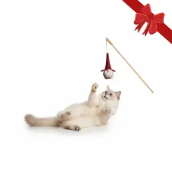 Wonder Christmas  de Caña Santa Navideño para gatos