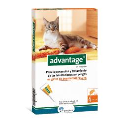 Advantage pipetas antipulgas para gatos (0-4 Kg)
