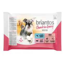Briantos en bolsitas 4 x 100 g - Pack de prueba - Bocaditos en salsa (salmón y vacuno)