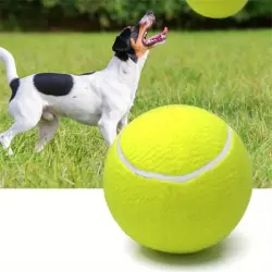 IntiMeg Pelota de tenis gigante de 9,5 pulgadas para perros - Una pieza