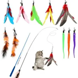 ZooVenture Set de 12 juguetes interactivos para gatos - Contenido: 2 varitas + 2 huellas + 3 gusanos + 5 plumas