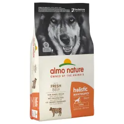 Almo nature Pienso Holsistic Dry Adult Large Buey y Arroz 12 KG