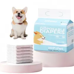 FurryFusion Pañales desechables para perros (10 unidades por paquete) - Perro macho S