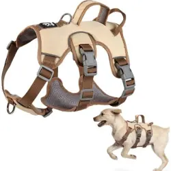 HausPets Arnés reflectante antitirones perros, beige + anilla pectoral - Beige + Anillo de pecho (L)
