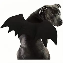 ZooVenture Disfraz de murciélago para perros grandes - L