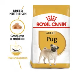 Royal Canin Carlino Adult 1,5 Kg.
