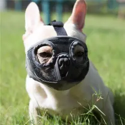 HausPets Bozal de malla transpirable de 28-43 cm - Bulldog, a mordeduras M - Una unidad