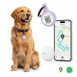 Pawview Localizador Inteligente para Mascotas, Rastreador Perros y Gatos Compatible con Apple Find My y Android Find Hub, Funda de Silicona Antidesgarros con Código QR, Sin Suscripción. Morado - 3.2 x 8.5 x 1 cm