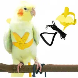ZooVenture Arnés y correa para loros como mascotas - AMARILLO