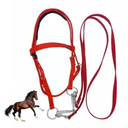 ZooVenture Cabezada y brida para caballo - S