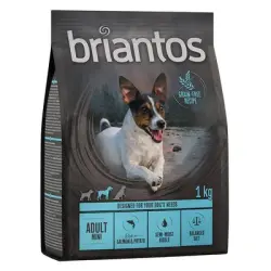 Briantos Adult Mini Salmón y patata - SIN CEREALES - 1 kg