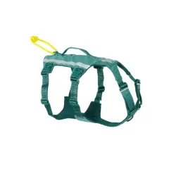 Non-stop Dogwear Arnés Largo Azul y Verde para perros - M