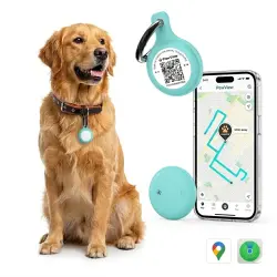 Pawview Localizador Inteligente para Mascotas, Rastreador Perros y Gatos Compatible con Apple Find My y Android Find Hub, Funda de Silicona Antidesgarros con Código QR, Sin Suscripción. Turquesa Claro - 3.2 x 8.5 x 1 cm