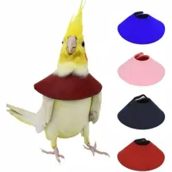 ZooVenture Juego de 4 collares anti-mordeduras para loros - 4 piezas (M)