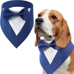 HausPets Pajarita para gato y perro azul M - Azul