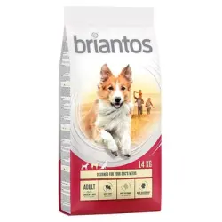 Briantos 14 kg pienso para perros ¡precio especial! - Adult Pollo y arroz