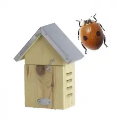 Casa Refugio Mariquitas + Mariquitas Adultas