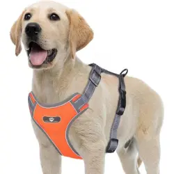 HausPets Arnés para perros ajustable, reflectante y malla suave antitirones - Naranja (XL)
