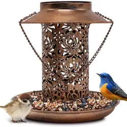 IntiMeg Comedero solar para pájaros - Artículo 1